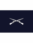 U.S. Army Infantry Vessel Flag