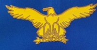 USAF Guidon Medium Framable size 15" x 22" USAF Guidon Medium Framable size 15" x 22"