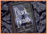 BLACK BEAUTY - 1946 - MONA FREEMAN - RARE DVD - TECHNICOLOR