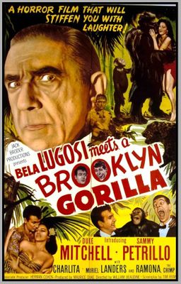 MEETS A BROOKLYN GORILLA - COLORIZED - 1952 - BELA  LUGOSI - RARE DVD