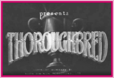 THOROUGH BRED - 1935 - TOBY WING - RARE DVD
