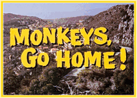 MONKEYS, GO HOME! - 1967 - MAURICE CHEVALIER - RARE DVD 