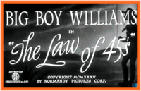 THE LAW 45'S - 1935 - GUINN "BIG BOY" WILLIAMS - RARE DVD