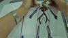 Cardiovascular and Respiratory Part 3: Veins and Lung Building Cardiovascular and Respiratory Part 3: Veins and Lung Building