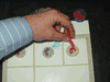 Hands-On Body System's ACTIVITY: Step-by-Step Construction of the Lymph System & Building Your Army of WBC's!