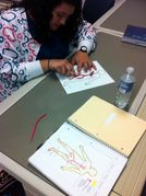 *HANDS-ON BODY SYSTEMS ACTIVITIES and BUILDING MATERIALS!  Diagrams for all HOBS activities, Step-by-Step System Building,  Facial Anatomy Kits, Clay Sets, and Clay Tools!! Learn by doing to know forever!