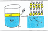 Module I Orientation to the Body & Cell Structure and Function