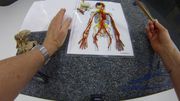 Movement and Communication Part 5: Heart and Arteries