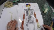 Movement & Communication Part 2: Brain and Spinal Cord