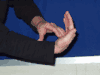 *STAR'S NOTES/MODULES: Great Content notes for Body System Lessons, Flashcards, and Teaching Tricks to Increase Learning!