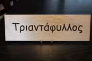 Rectangular Name Sign - TRIANTAFYLLOS