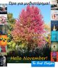 The Greek Bookstore - November 2023