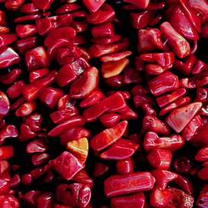 Coral Bead Chips