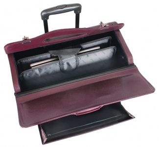 Mancini Wheeled Litigation Case