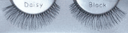 Ardell Runway Daisy Black