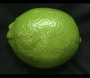 Fab Fruit: Lime 