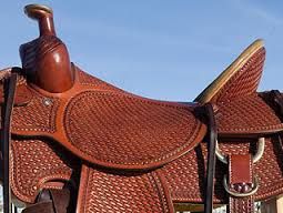 BILLY COOK HIGH COUNTRY RANCHER 10-2175