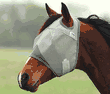 Cashel Crusader Fly Mask