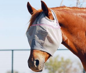 Cashel Crusader Fly Mask