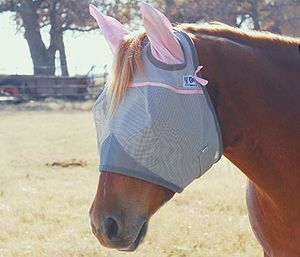 Cashel Crusader Fly Mask Standard W/ Ears