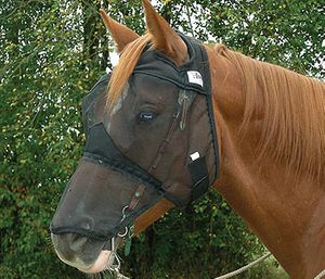 Cashel Quiet Ride Fly Long Nose