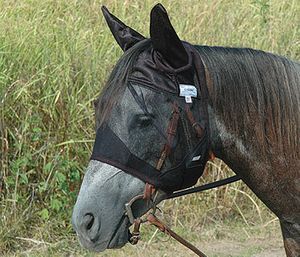 Cashel Quiet Ride Fly Mask Standard w/ Ears
