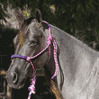 Deluxe Rope Halter by Professional's Choice