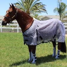 FLY CONTROL and  PROTECTION