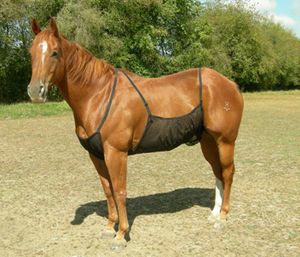 Fly Sheet Belly Guard by Cashel