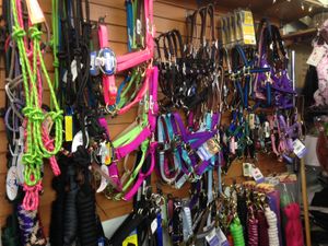 HALTERS, LEADS and LUNGE LINES