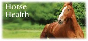HEALTH and HOOF CARE HEALTH and HOOF CARE