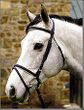 Henri De Rivel Padded Dressage Bridle with Flash And Web Reins
