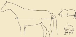 How to Measure for Blankets