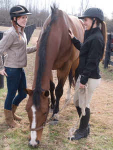 INTERNATIONAL RIDING HELMETS - IRH