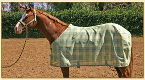 Kensington Protective Fly Sheet European Cut