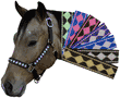 Leather Crown Diamond Pattern Padded Halter Leather Crown Diamond Pattern Padded Halter