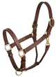 Leather Halters