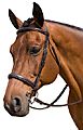 Marcel Toulouse Platinum Camden Bridle with Fancy Stitched Reins 