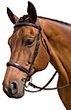 Marcel Toulouse Platinum Camden Bridle with Fancy Stitched Reins 