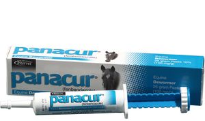 Panacur Equine Dewormer