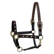 PERRI'S CRYSTAL BLING NYLON HALTER