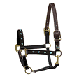 PERRI'S CRYSTAL BLING NYLON HALTER