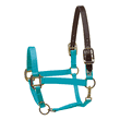 Perri's Premium Nylon Safety Halter