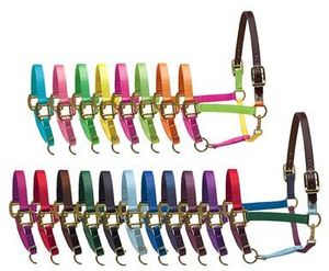 Perri's Premium Nylon Safety Halter