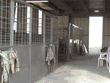 Platte Ridge Equestrian Center Facilities