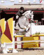Platte Ridge Equestrian Center Web Site