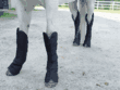 PRI 1200D Heavy Duty Shipping Boots 