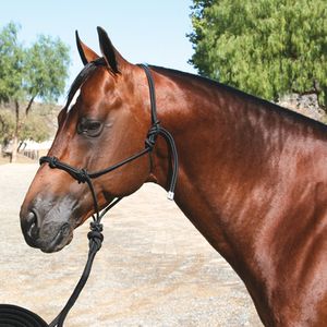 Professional's Choice Clinician Halter  w/15 Foot  Lead