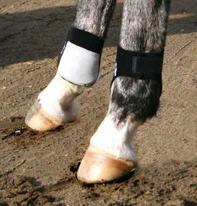 Professional's Choice Rear Ankle Boots