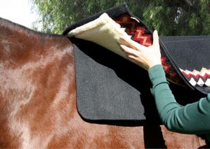 Professional's Choice Saddle Pad Liner